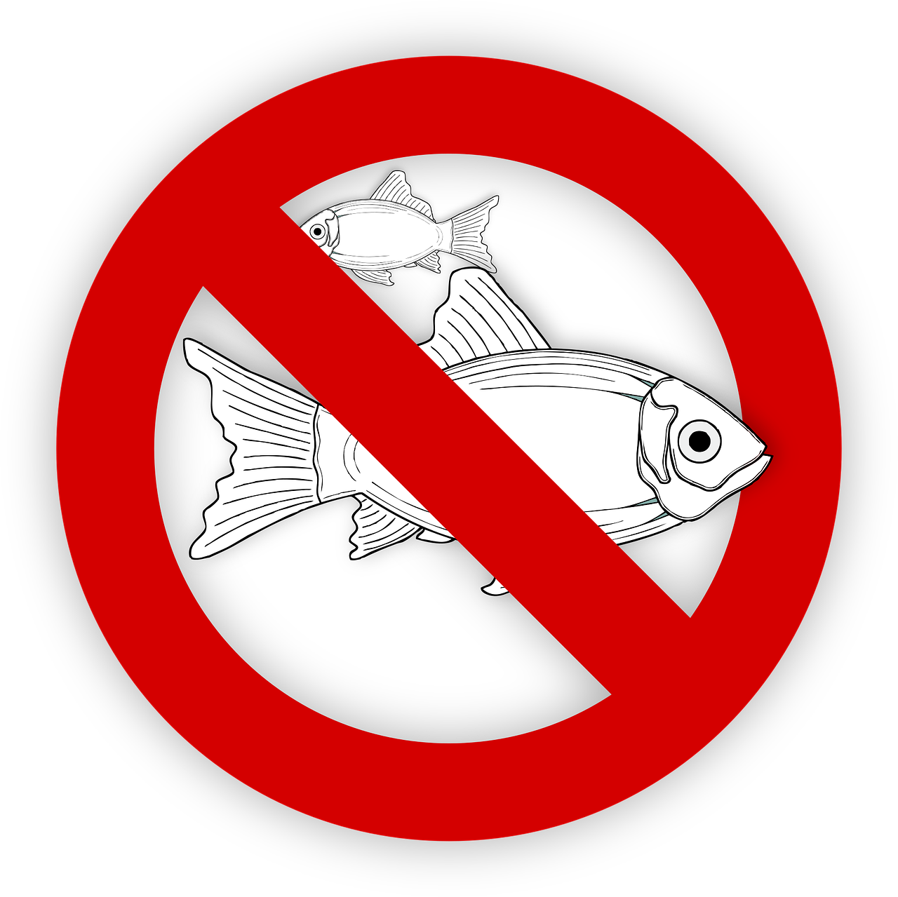 pixabay-995050-454.png